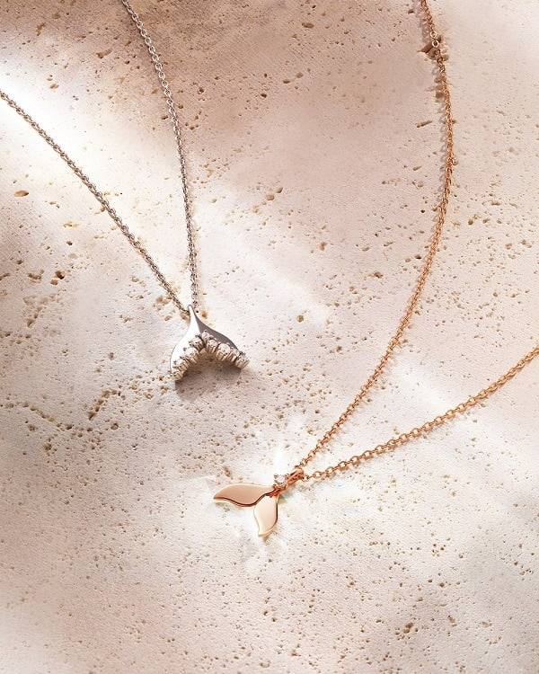 출처: 제이에스티나