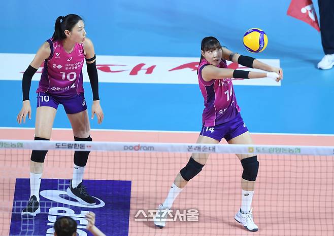 흥국생명 정윤주가 2일 인천 삼산월드체육관에서 열린 2024~2025 V-리그 여자부 챔피언 결정전 2차전 정관장과 경기에서 리시브를 하고 있다. 2025. 4. 2. 삼산 | 최승섭기자 thunder@sportsseoul.com