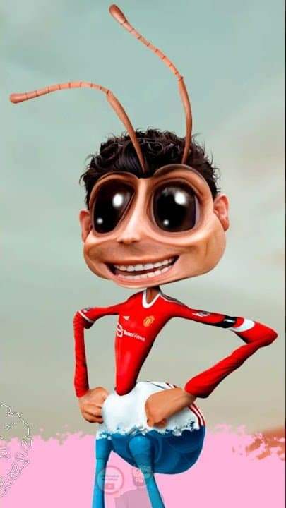 25ac8774b5ed6ae864afd19528d52703d024436e675c