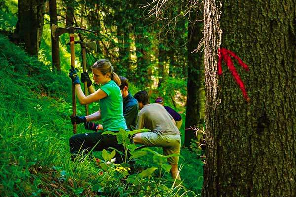 독일산악회 자원봉사자들이 숲 관리 사업에 참여하고 있다. 사진 아르비드 울리히.