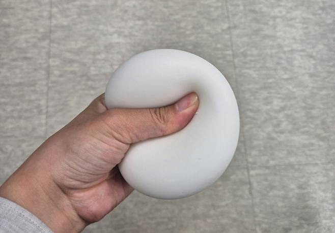 (온라인 커뮤니티 갈무리)