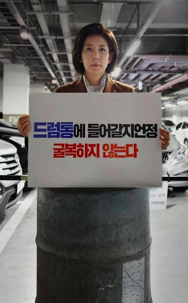 국민의힘 나경원 의원 SNS 갈무리