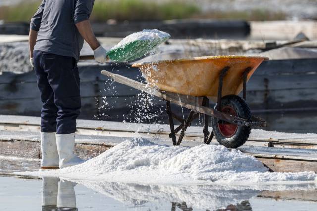기사와 관련없는 이미지. 이미지투데이