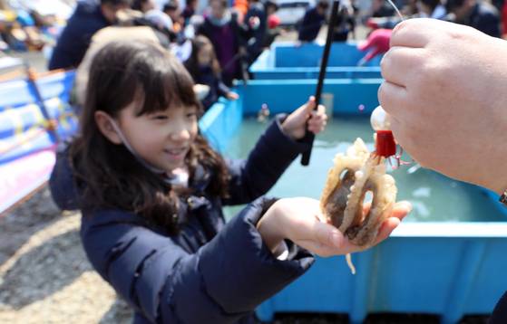 충남 서천군 서면 마량포구에서 열린 주꾸미축제에서 어린아이들이 주꾸미 낚시를 하고 있다. 연합뉴스