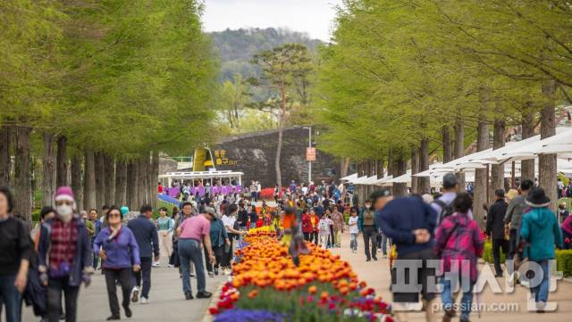 ▲19일 순천만국가정원에 수많은 관람객이 찾아와 봄날의 정취를 즐기고 있다.2025.4.19. ⓒ순천시