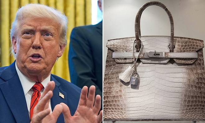 도널드 트럼프 미국 대통령(왼쪽), 에르메스의 버킨백. AP·EPA연합뉴스