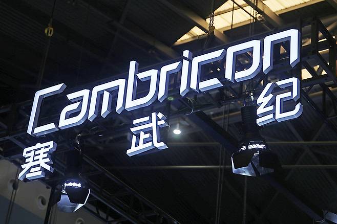 /사진=중국 인터넷