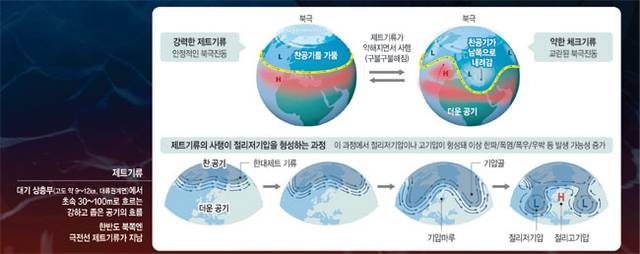 그래픽 = 권호영 기자