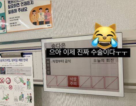 사진=송다은 소셜미디어