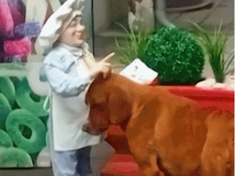 ⓒ틱톡 'vesnavukojevic' 갈무리