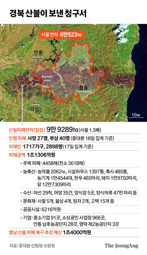 정근영 디자이너