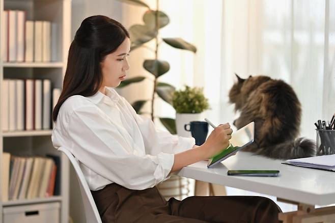 사진은 기사 내용과 관련 없음./사진=게티이미지뱅크