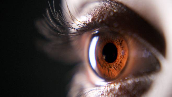 위 사진은 해당 기사와 직접적 연관 없습니다. / 사진=게티이미지뱅크