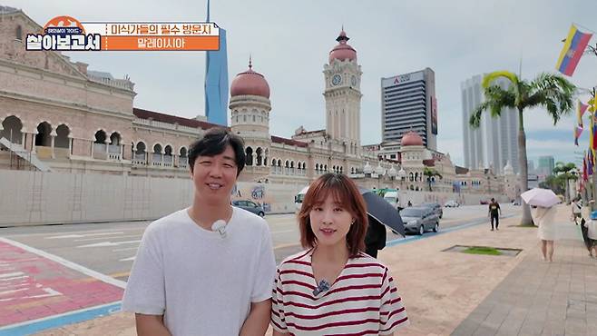 사진 제공=MBN, MBC드라마넷 '살아보고서'