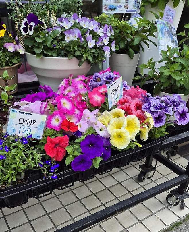 7fed8273b58669fe51ee85e745807c737e4f96b2bcf7f1936e02b1e5684de43e