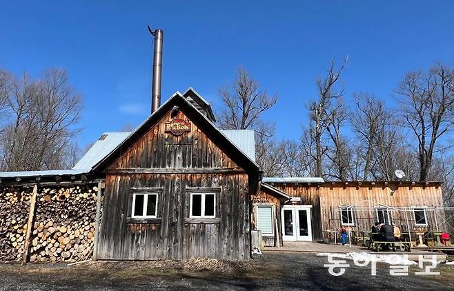 단풍나무 수액을 처리하는 시설인 슈거섁(Sugar Shack·설탕 오두막). 메이플 시럽 농가들은 이곳에서 메이플 시럽과 사탕을 만드는 등 각종 체험 활동을 진행해 부가 수익을 벌어들이고 있다. 브로몽=임우선 특파원 imsun@donga.com