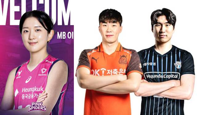 프로배구 자유계약선수(FA)로 흥국생명에 입단한 이다현. 오른쪽은 트레이드로 유니폼을 바꿔입은 OK저축은행의 전광인(왼쪽)과 현대캐피탈의 신호진. 각 구단 제공