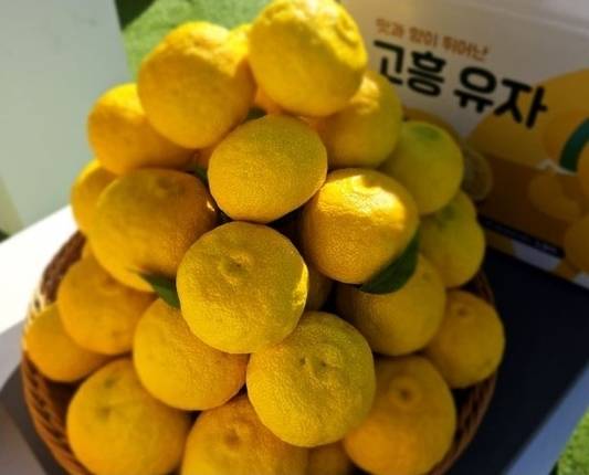전남 고흥의 청정 자연과 해풍을 맞고 자라 당도가 높고 특유의 향을 가진 고흥 유자. 고흥군