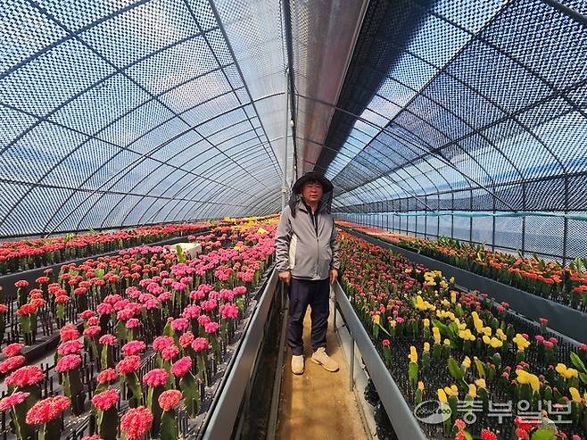 이재규 씨가 본인이 재배하는 접목선인장 사이에서 포즈를 취하고 있다. 이보현 기자