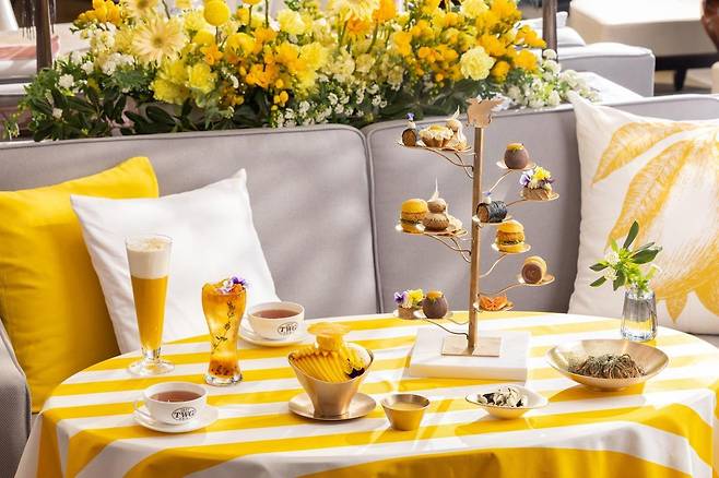 JW 메리어트 동대문스퀘어서울의 아망떼 델 망고. JW메리어트 동대문스퀘어서울