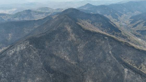 산불로 폐허가 된 경북 의성군 일대의 모습. 김종호 기자.