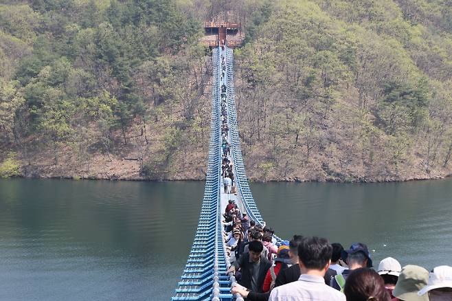 초평호 미르309 출렁다리. 진천군 제공