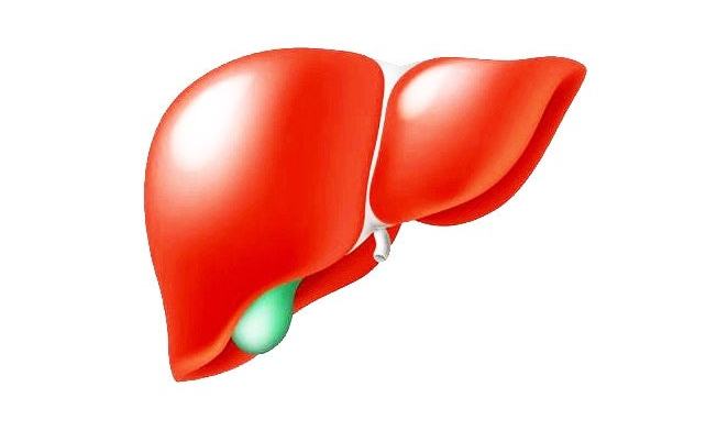 간 일러스트 이미지