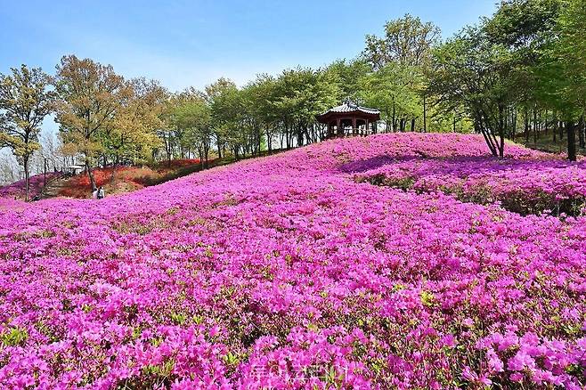 시흥시 은계호수공원/사진-시흥시