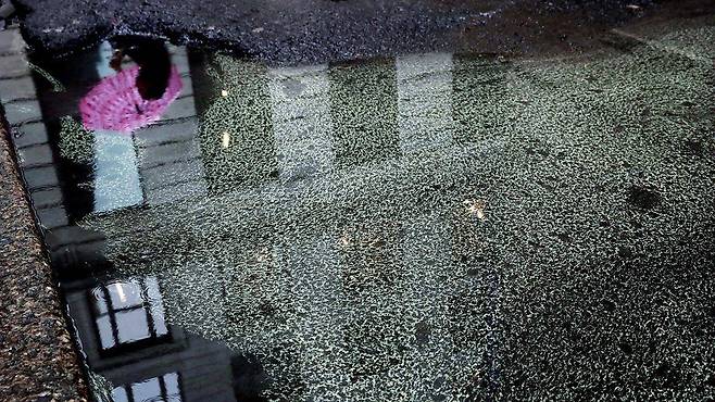 기후변화로 인해 공기 중 꽃가루의 양이 늘어나면서 계절성 알레르기도 더 심해질 것으로 전망된다