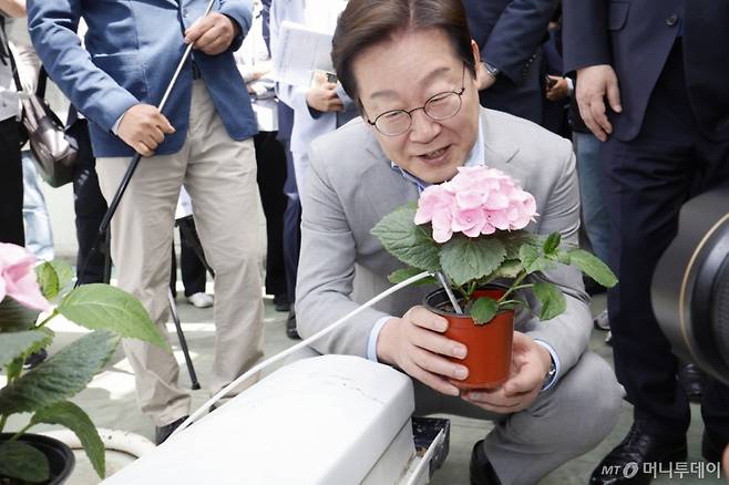 (나주=뉴스1) 김태성 기자 = 이재명 더불어민주당 대선 경선 후보가 25일 전남농업기술원에서 농업과학기술진흥 간담회를 갖고 에너지자립형 온실을 둘러보고 있다. 2025.4.25/뉴스1 Copyright (C) 뉴스1. All rights reserved. 무단 전재 및 재배포, AI학습 이용 금지. /사진=(나주=뉴스1) 김태성 기자