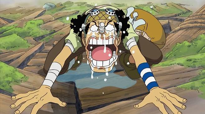 1000010140.webp.ren.jpg 원피스 ) 순수 외모지상주의 피해자