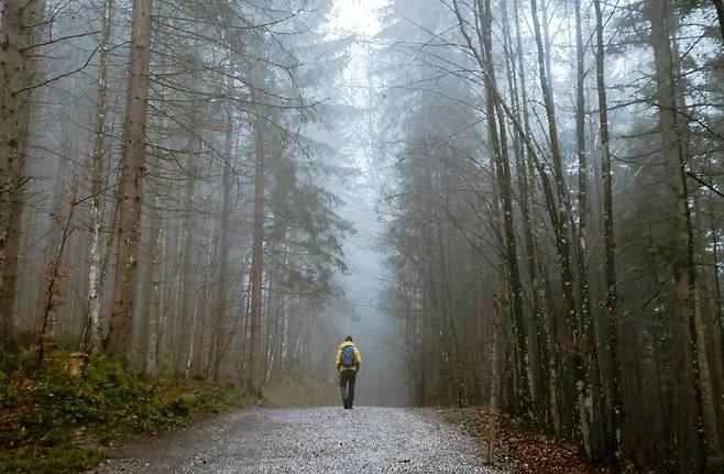 자연 속에 있는 것만으로도 마음의 치유효과가 있다. 10여년전 우울증으로 힘들 때 나는 주말이면 양평 산과 강변 주변에서 살았다. /픽셀