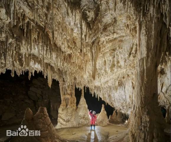 중국 구이저우성 다오전현에서 최근 발견돼 외부에 알려진 동굴 내부를 한 동굴 전문가가 살펴보고 있다. 이 동굴은 4억 8000만년 전 형성된 지층으로 이뤄졌다. 자료 : 신화통신·바이두 백과