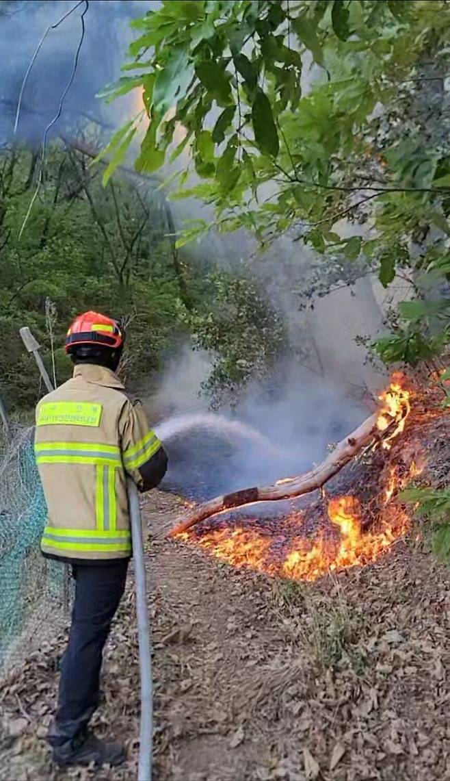 대구 북구 함지산 산불이 재발화한 30일 오후 대구소방본부 소속 소방관들이 함지산 원담사 인근에서 진화 작업을 하고 있다./대구소방안전본부