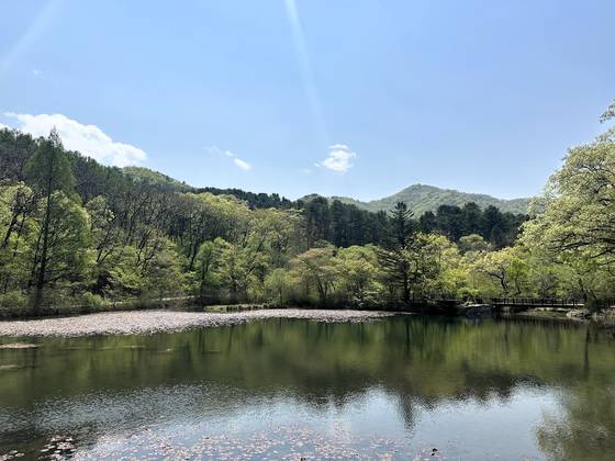광릉숲이 있는 국립수목원 전경. 천권필 기자