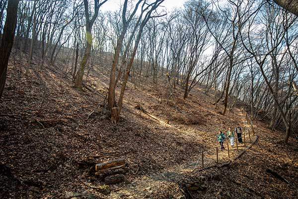 구름산 하산길. 바스락 거리는 발소리가 좋다.