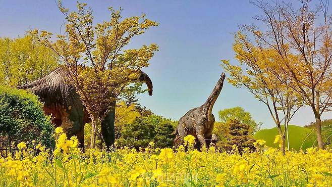 해남공룡대축제/사진-해남군