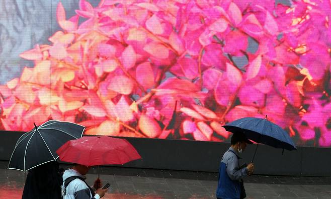 서울에 비가 내리는 1일 오전 광화문에 시민들이 우산을 쓰고 걸어가고 있다. /뉴시스