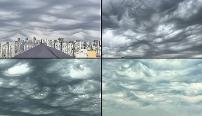 국내 네티즌들이 공유한 구름 사진. /X