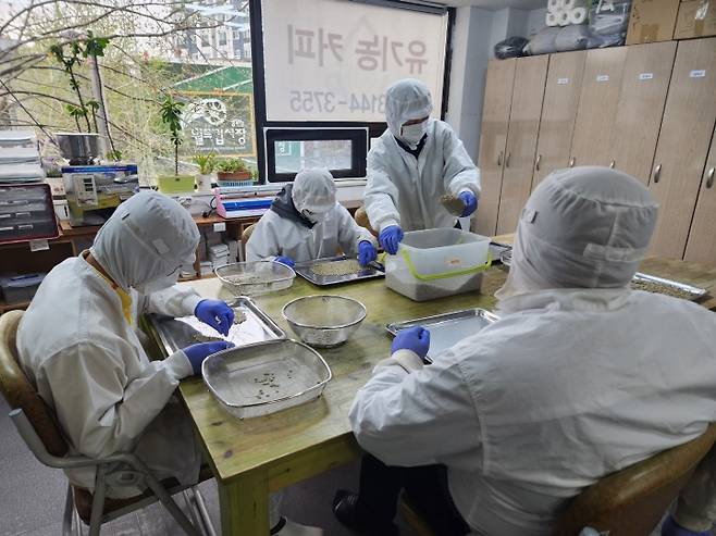 발달장애인 직원들이 생두에서 불량이 생긴 것을 골라내는 작업을 하고 있다.