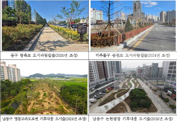 2024년 조성된 도시숲. /사진제공=인천시