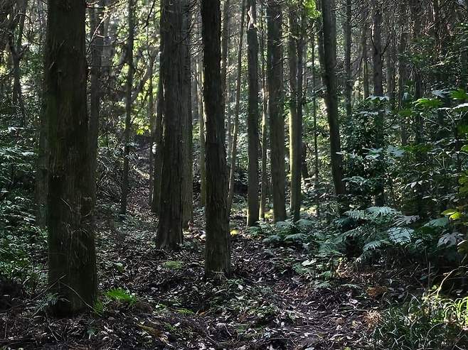 28b9d932da836ff238ee86ec43897c6df037780294ab12c0e1a6a057b85a66deeb62da