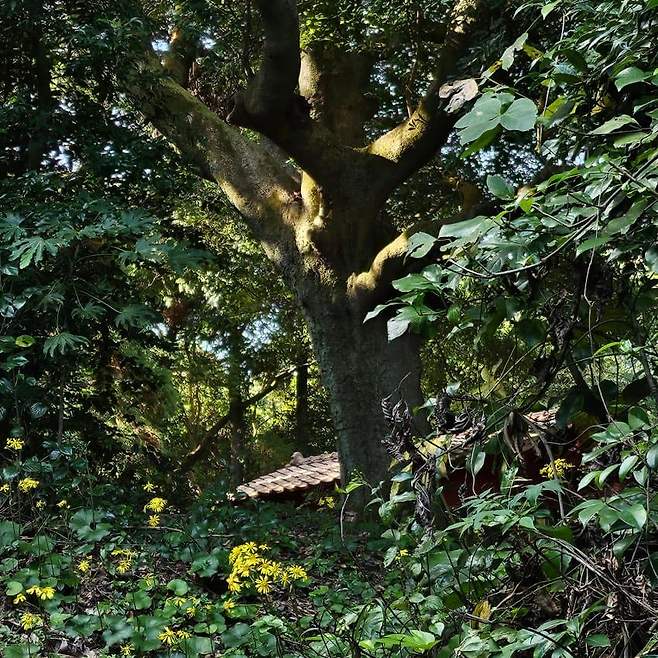 28b9d932da836ff238ee86ec40817c6d08379b458f5f42f24b37605d471a2f4688cac9