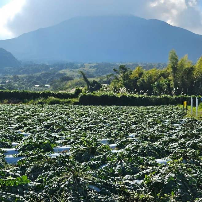 28b9d932da836ff238ee87e44483746b273ca7371dd992121b4352d664a3ffa26a235d