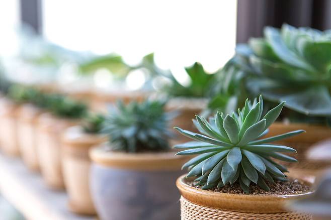 클립아트코리아