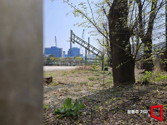 2024년에 폐교된 성수공업고등학교 운동장에 잡초가 무성하다. 윤동주 기자