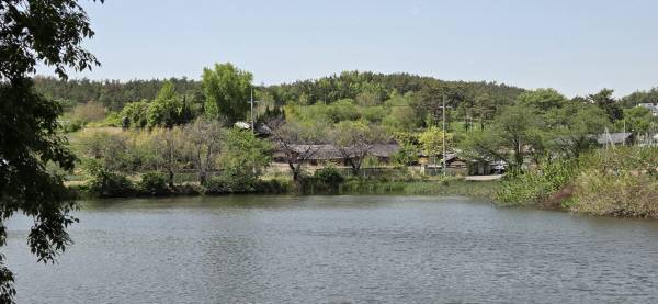 영천시 임고면 황강저수지에서 바라본 김문수 생가터와 경주김씨 지사공종택.