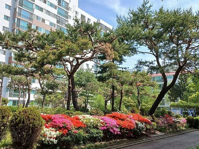 목동신시가지 아파트 단지들은 단지 내 풍성한 녹지가 특징이다. 김희량 기자