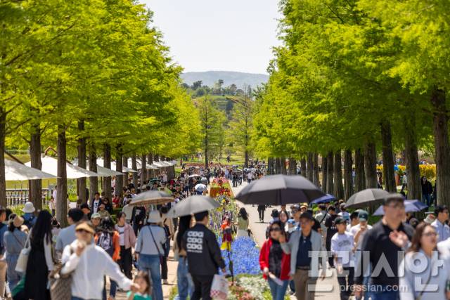 ▲4일 전남 순천만국가정원이 관람객들로 북적이고 있다.ⓒ순천시