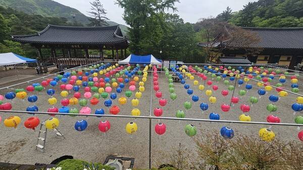 부처님 오신날 산청 대원사에 걸린 연등, 오후 들어 내린 비에 신도와 관광객 발길이 드문드문 이어졌다.